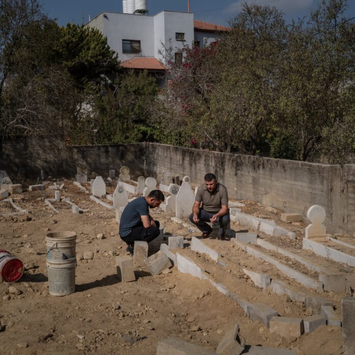 14olive-harvest-01-wkbm-mediumSquareAt3X