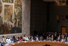 U.N. Security Council Adopts Trump’s Peace Plan for Gaza